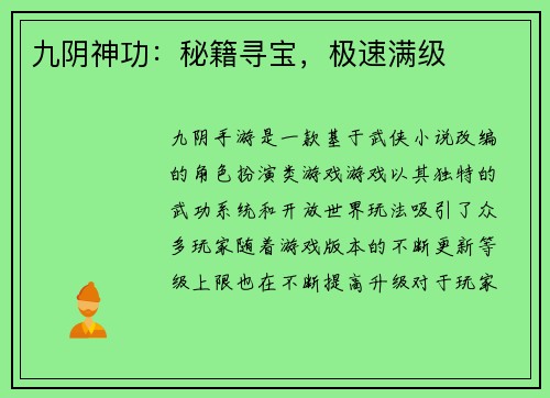 九阴神功：秘籍寻宝，极速满级