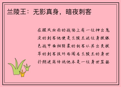 兰陵王：无影真身，暗夜刺客