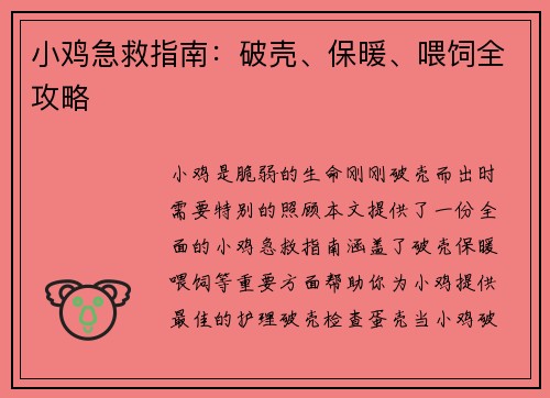 小鸡急救指南：破壳、保暖、喂饲全攻略